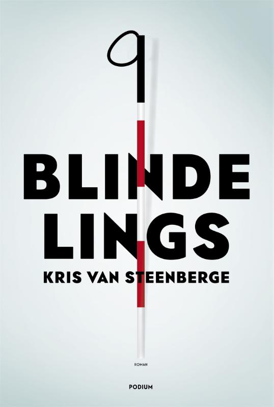 Kris Van Steenberge Blindelings thumbnail