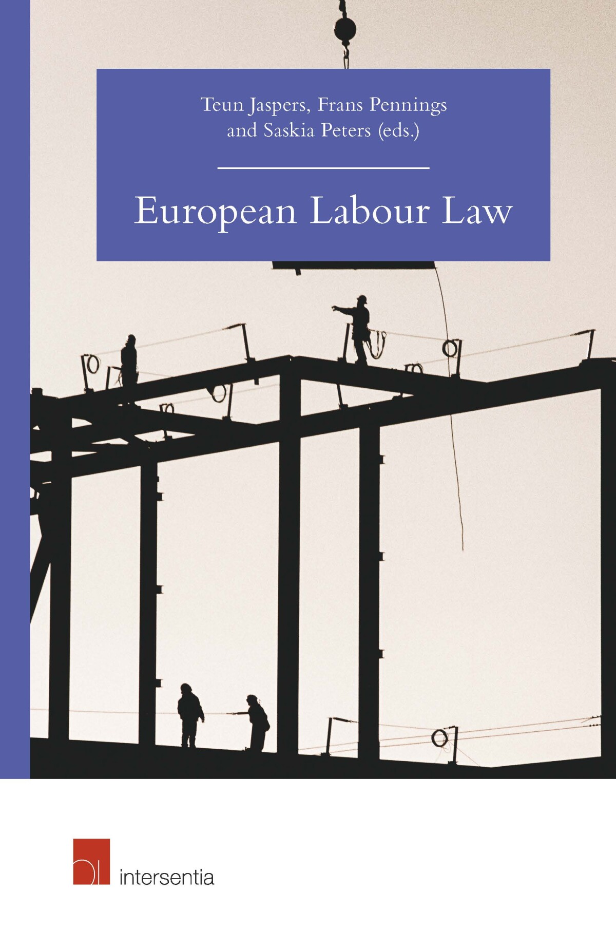 Teun Jaspers European Labour Law thumbnail