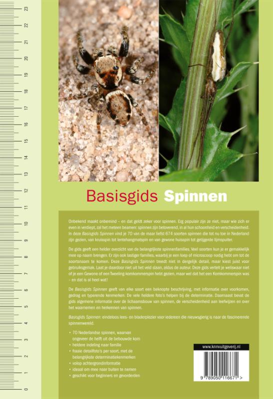 Spinnen / Basisgidsen achterkant