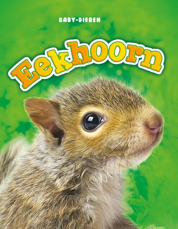 Eekhoorn / Baby-dieren