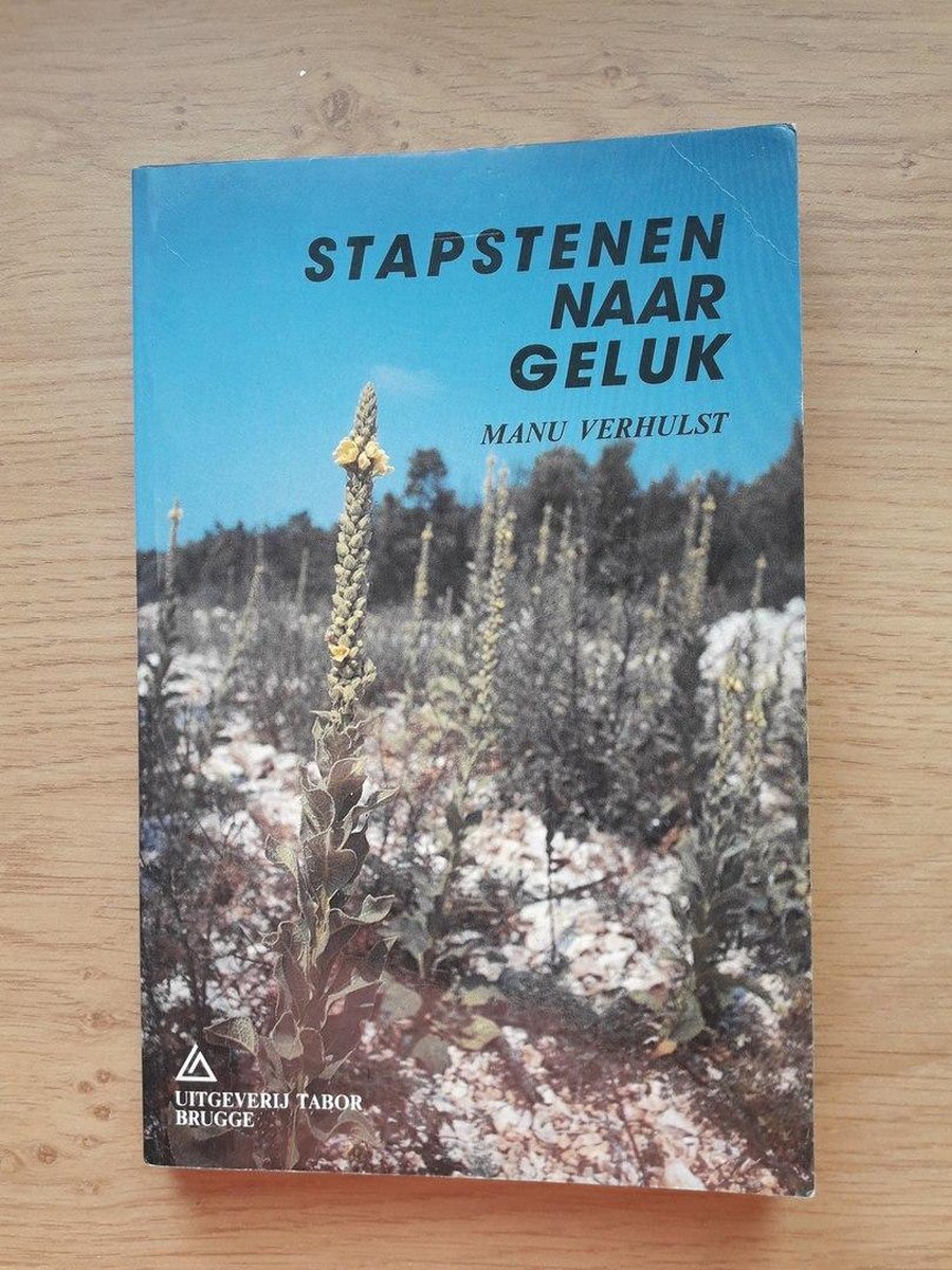 Stapstenen naar geluk
