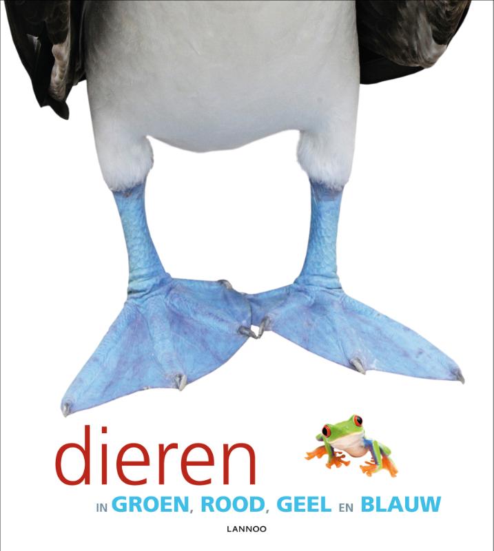 Dieren in groen, rood, geel en blauw