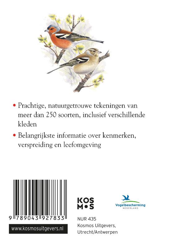 Compactgids Vogels / Compactgidsen natuur achterkant