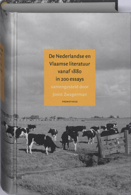 Joost Zwagerman Nederlandse En Vlaamse Literatuur Vanaf 1880 In 200 Essays
