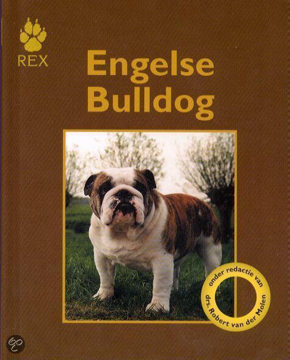 ENGELSE BULLDOG