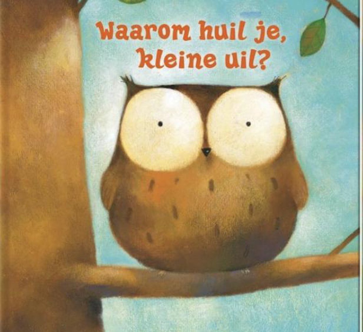 Waarom Huil Je, Kleine Uil?