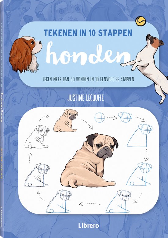 Honden / Tekenen in 10 stappen