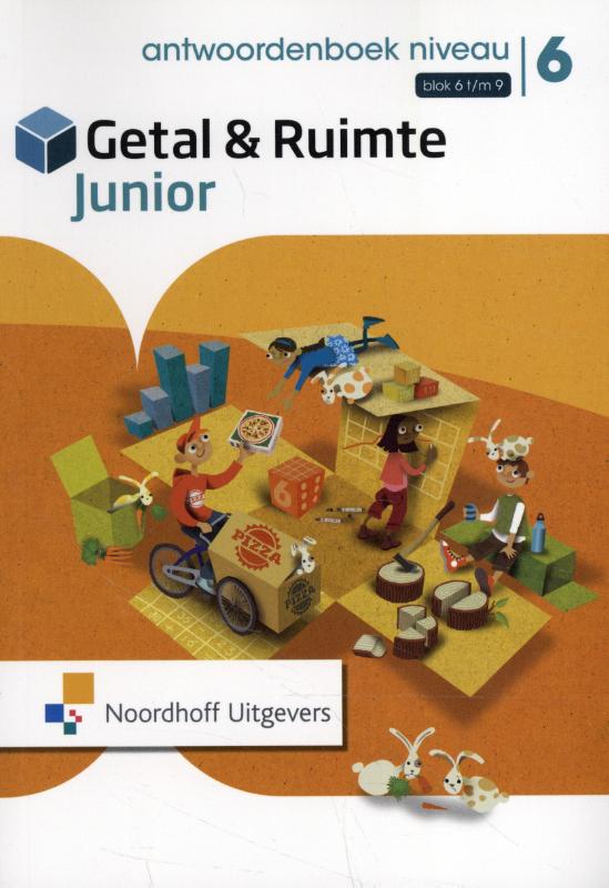 groep 6 / Getal & Ruimte jr / Antwoorden niveau deel 2