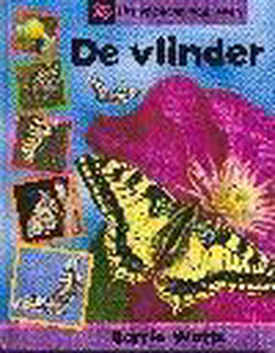 De Vlinder Ontstaan Van Leven