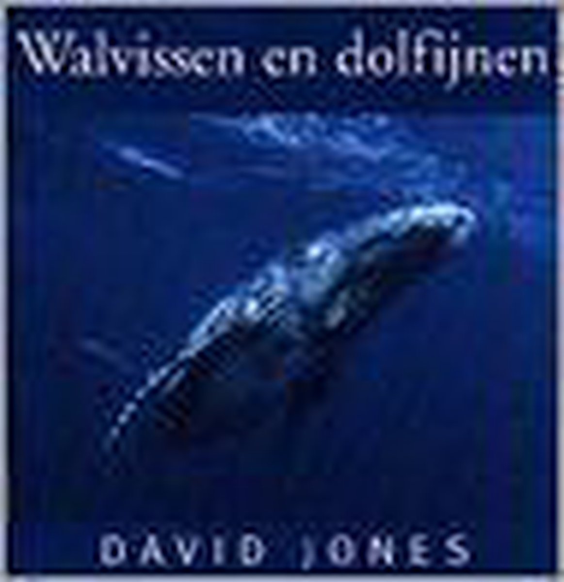 David Jones Walvissen thumbnail