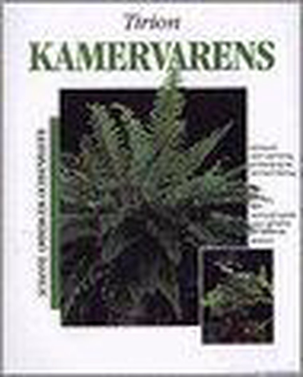 Kamervarens
