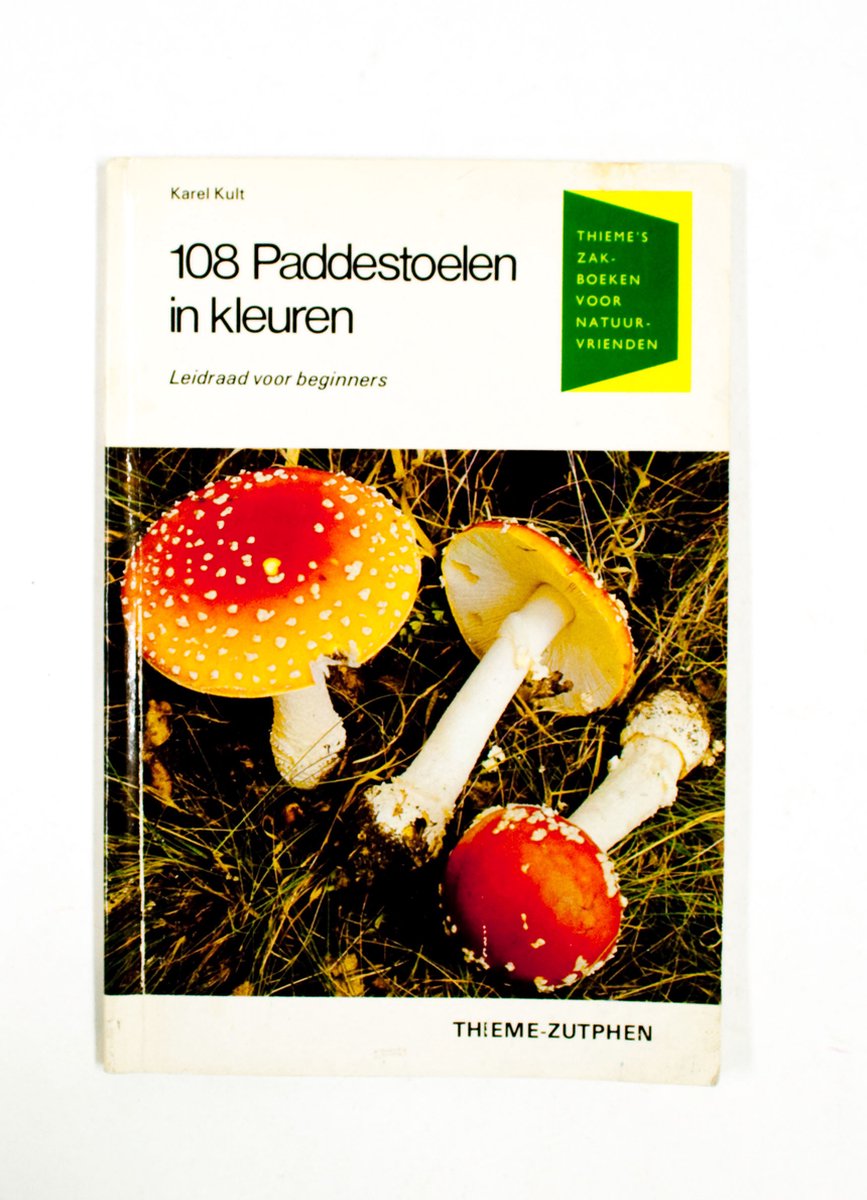 Honderdacht paddestoelen in kleuren