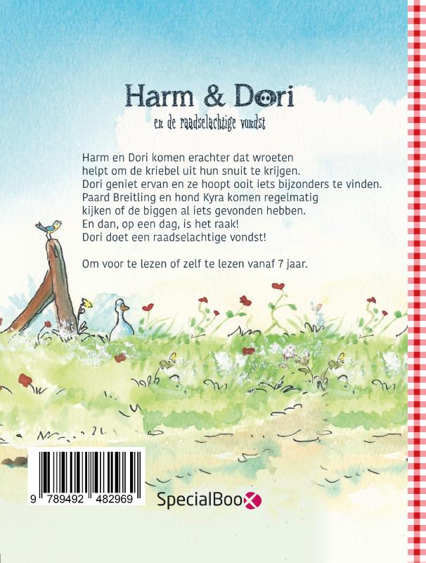 Harm & Dori en de raadselachtige vondst achterkant