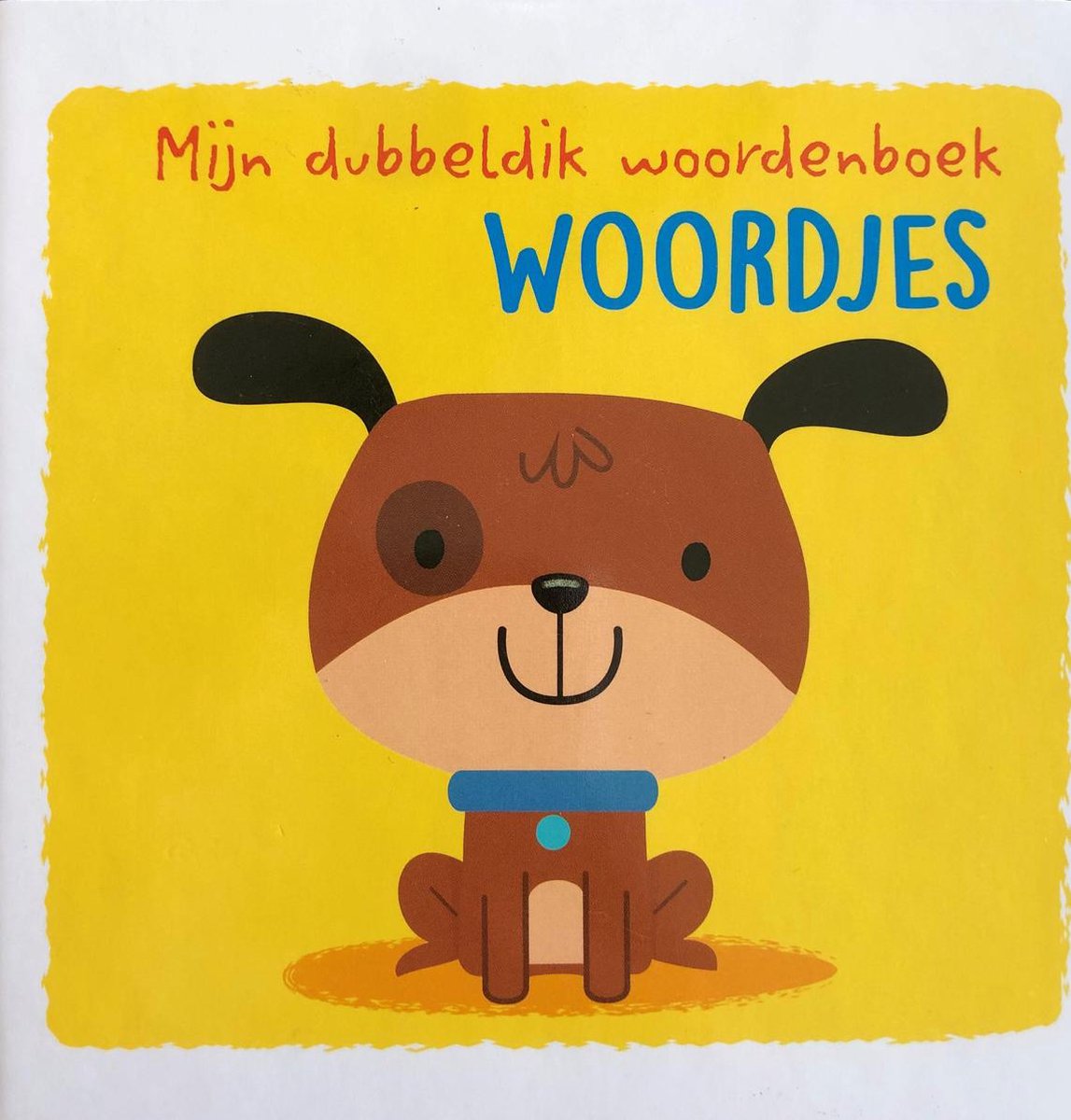 boekenbalie_9789463342810_cover Double thick Words / First words book