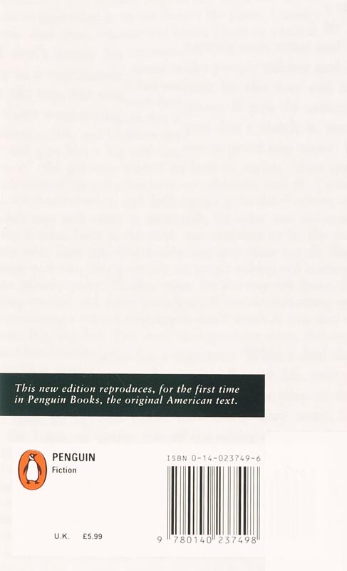The catcher in the rye achterkant