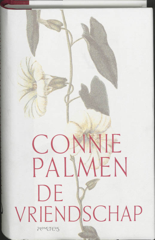 Connie Palmen De Vriendschap thumbnail