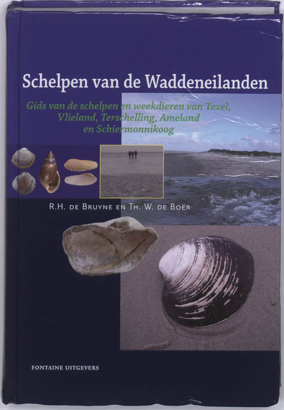 Schelpen van de waddeneilanden