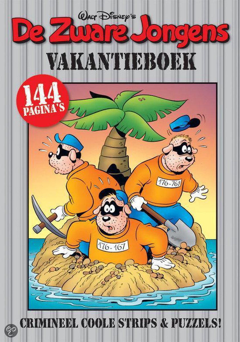 Zware jongens vakantieboek  / 2013