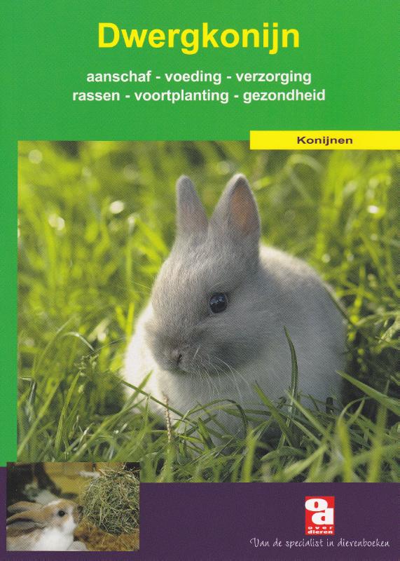 Over Dieren  -   Het dwergkonijn