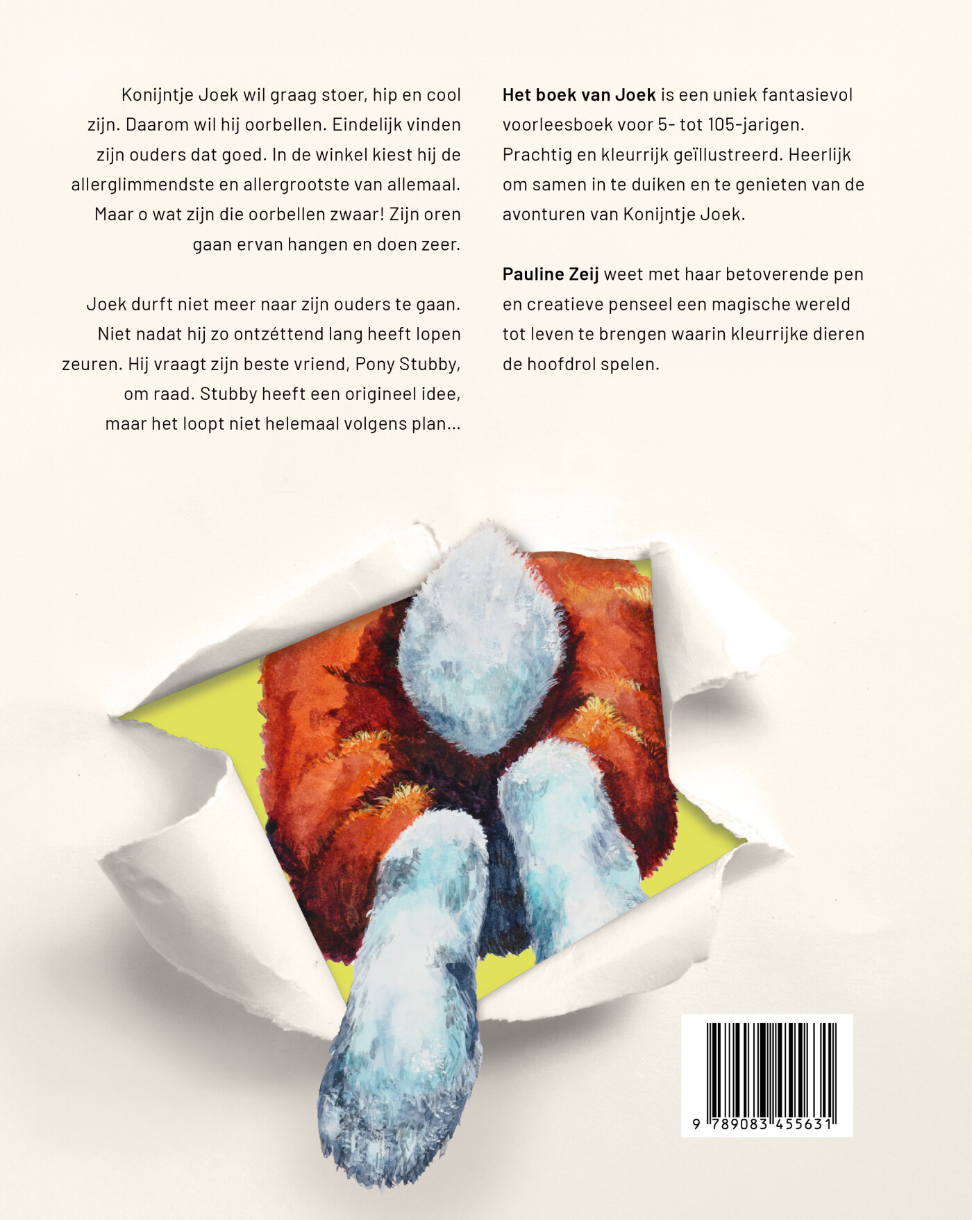 Het boek van Joek achterkant