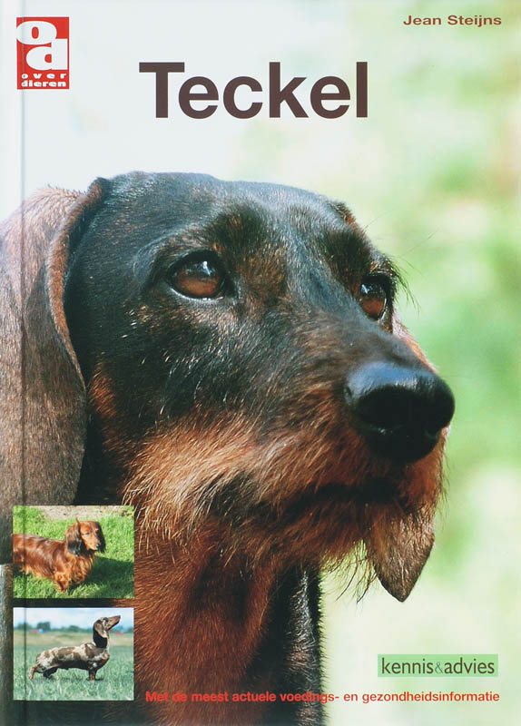 J. Steijns Teckel / Over Dieren thumbnail