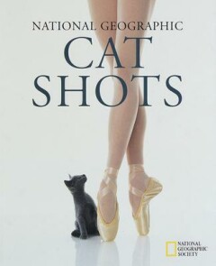 Slung M., National geographic cat shots