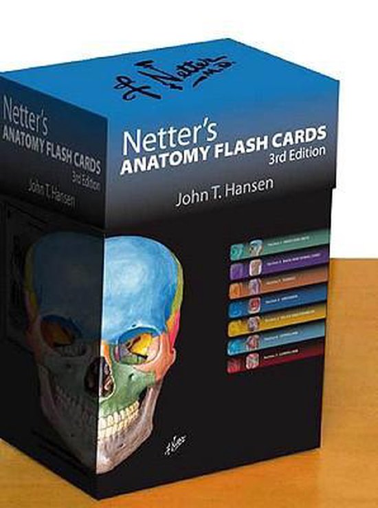 John t. Hansen Netter's Anatomy Flash Cards