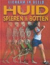 Huid, spieren en botten / Lichaam in beeld