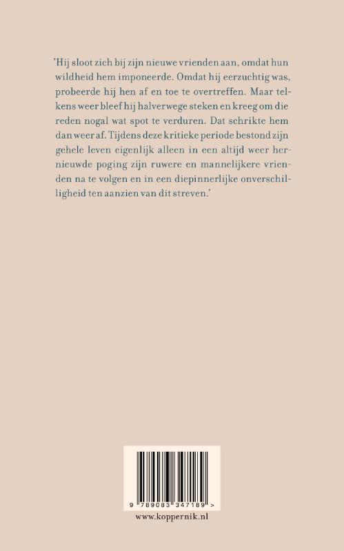 De verwarring van een jonge Törless achterkant