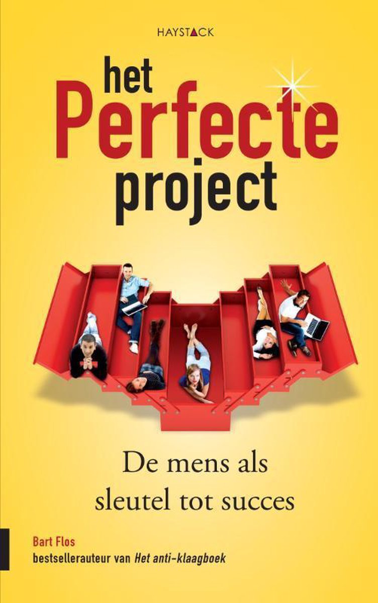 Bart Flos Het Perfecte Project thumbnail