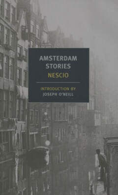 Amsterdam Stories / New York Review books Classics