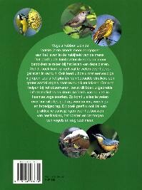 Vogels in de tuin Vogels in de tuin achterkant