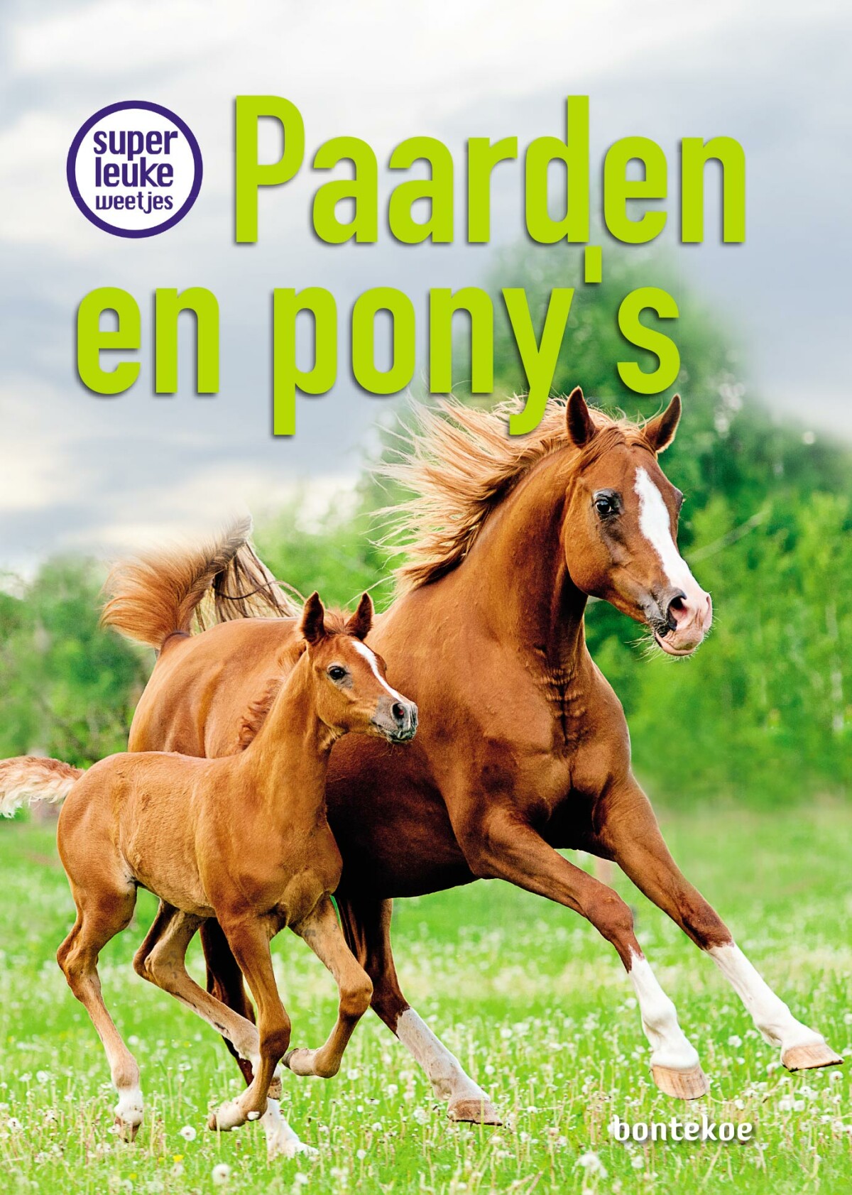 Christina Braun Superleuke Weetjes Over Paarden En Pony’s / Superleuke Weetjes