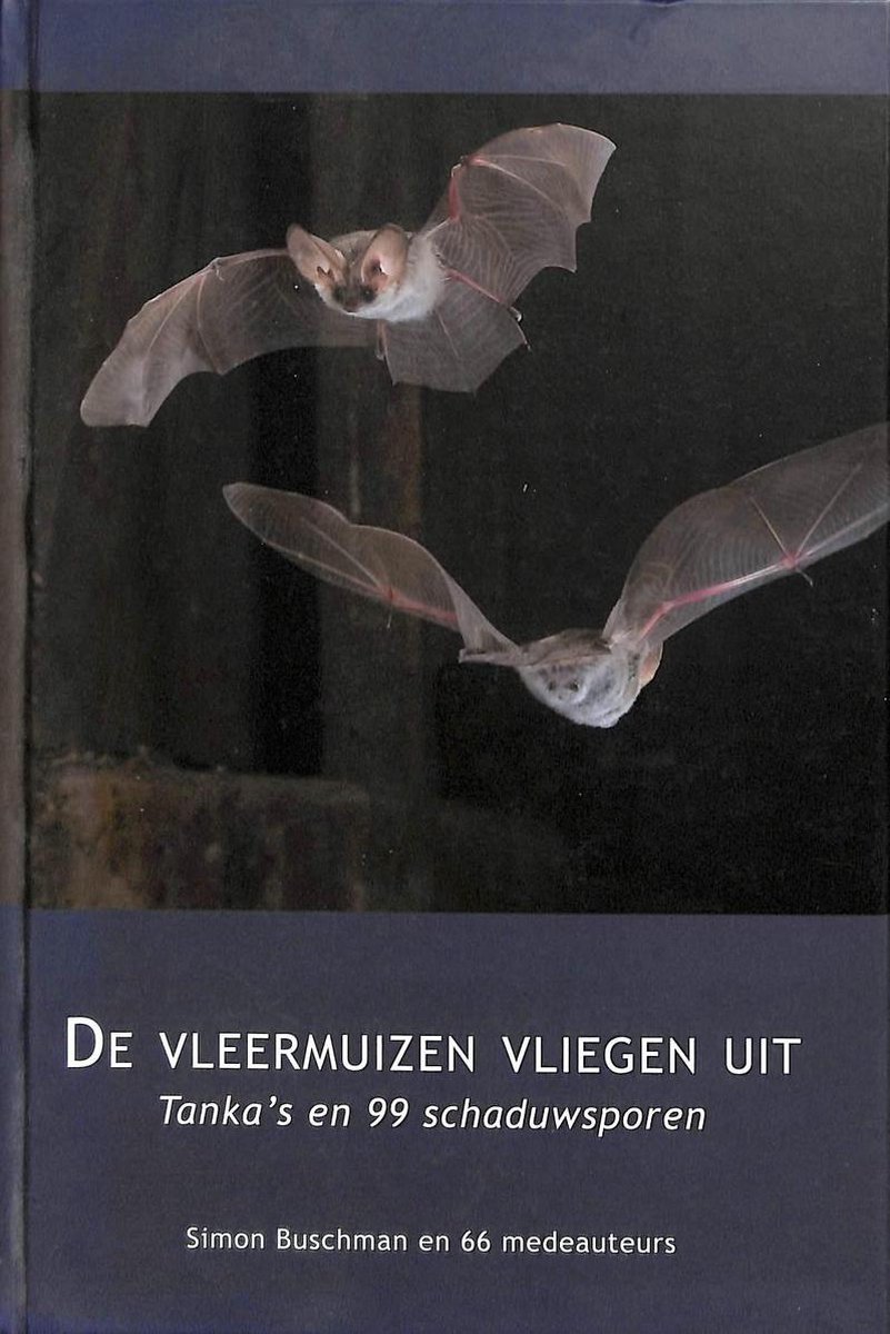 boekenbalie_9789079910007_cover De vleermuizen vliegen uit