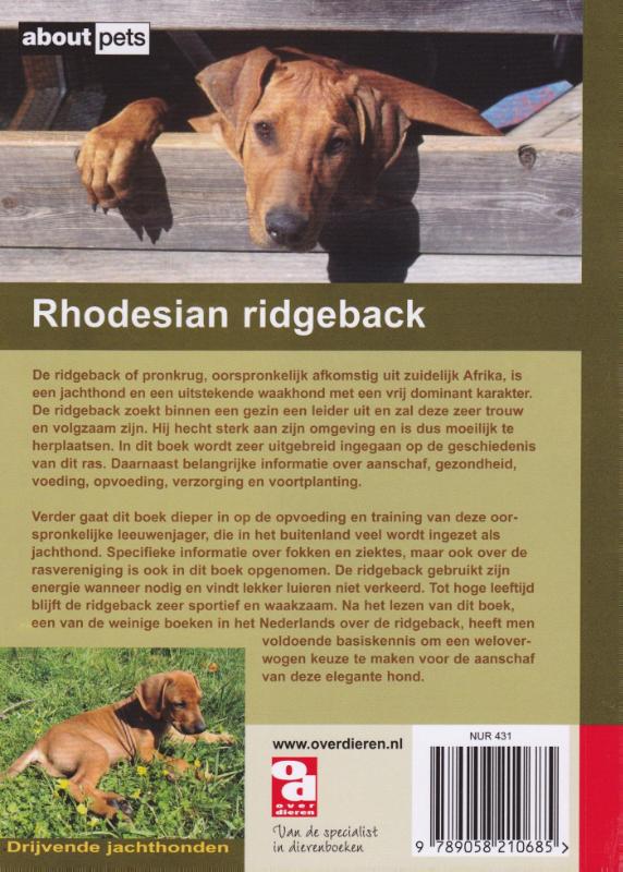 De Rhodesian ridgeback / Over Dieren achterkant