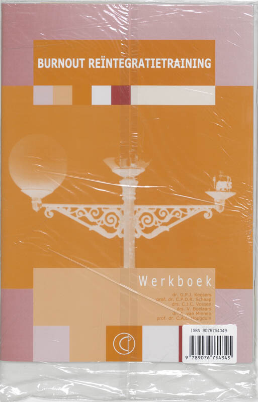 Burnout reintegratietraining / Therapeutenboek werkboek / Cognitieve gedragstherapie achterkant