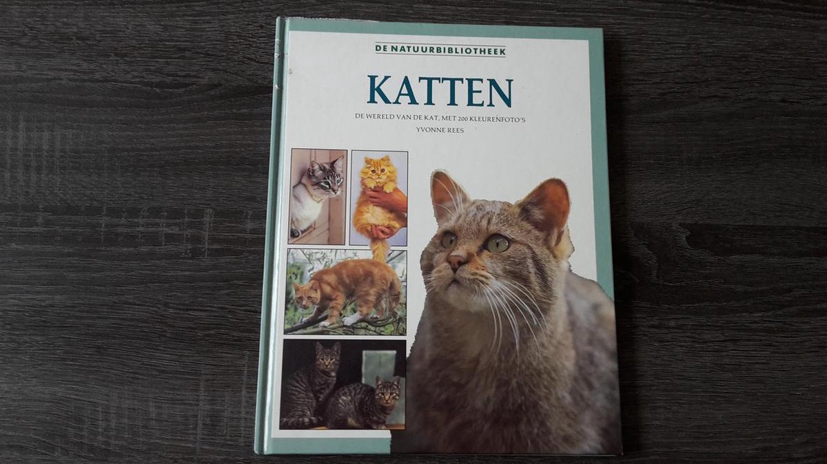 Rees Katten thumbnail