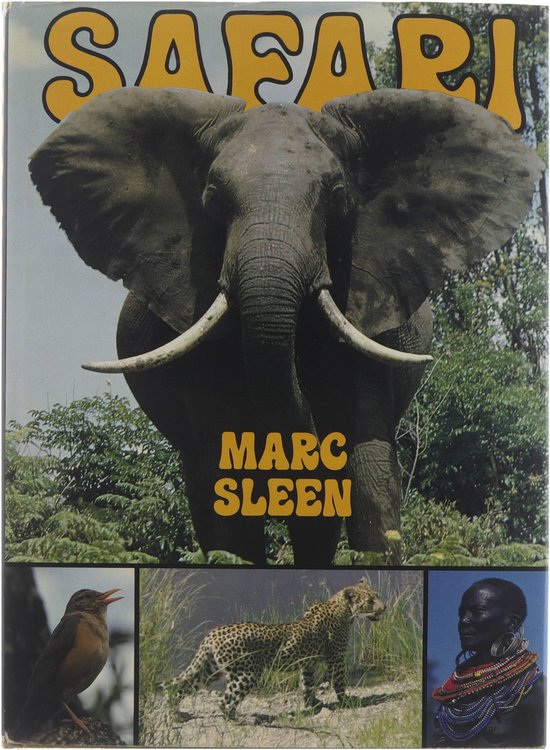 Safari