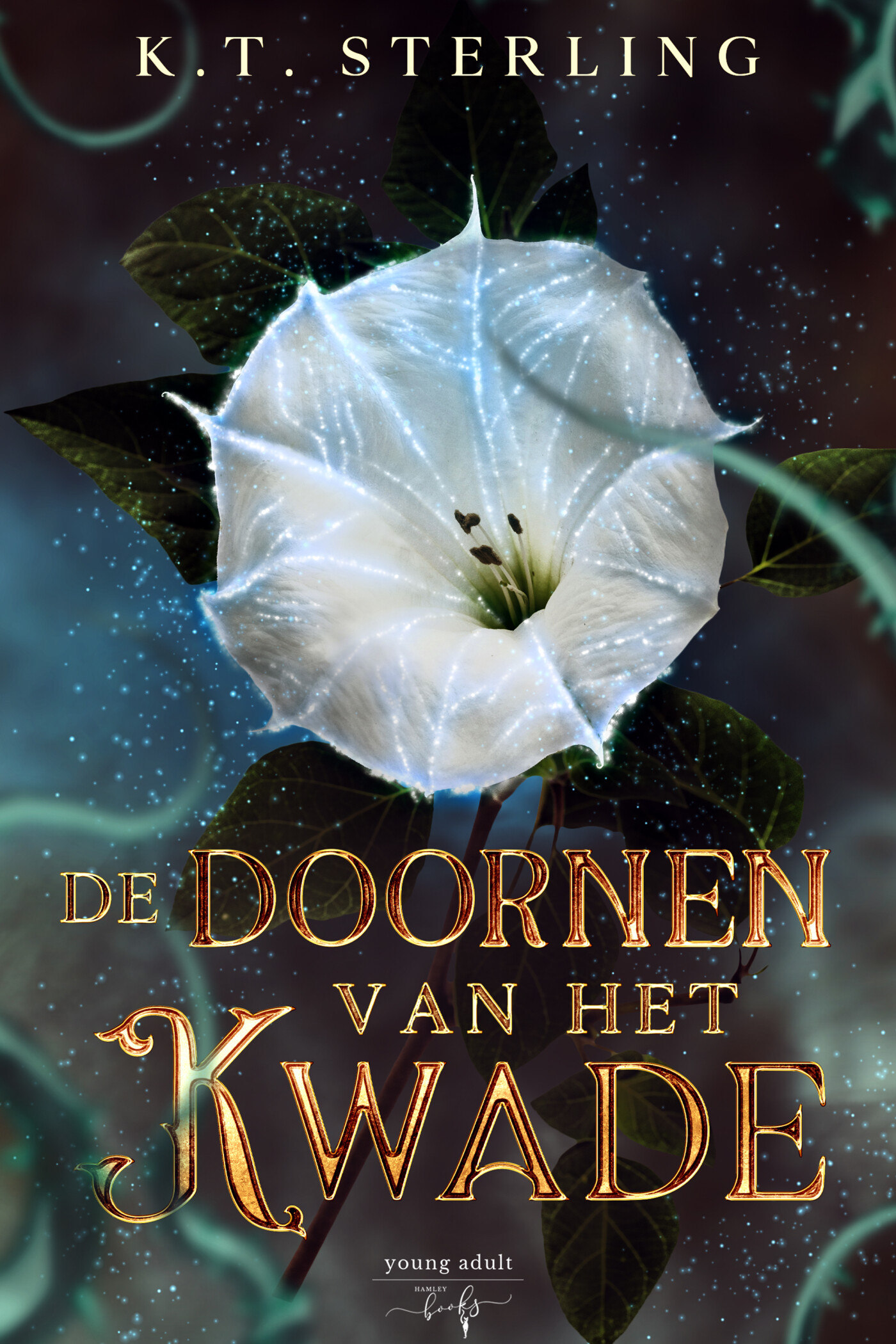 De doornen van het kwade / Dochters van de fae / 3