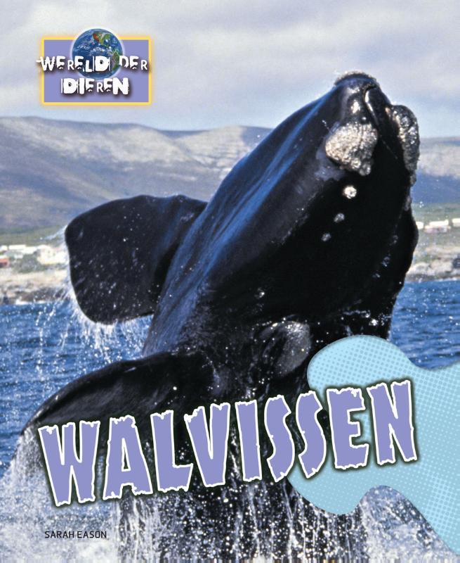 Walvissen / Wereld der dieren