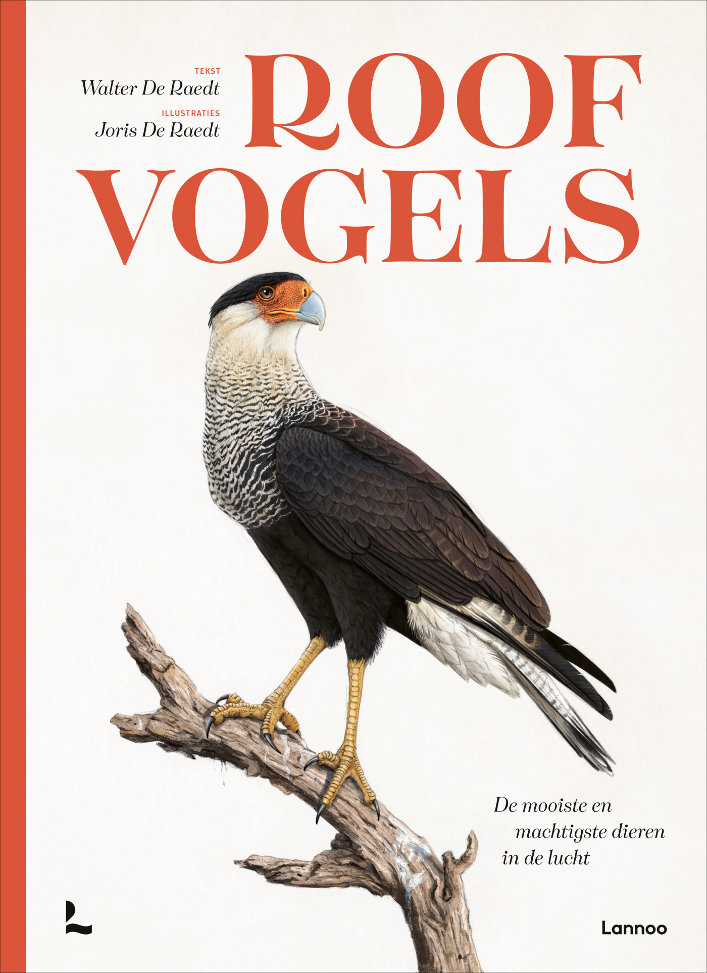 Roofvogels