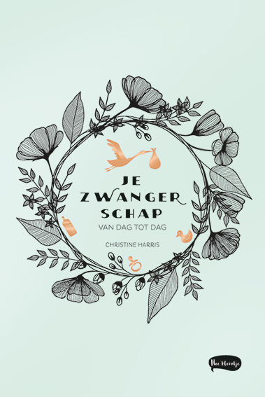 boekenbalie_9789045322193_cover Je zwangerschap van dag tot dag