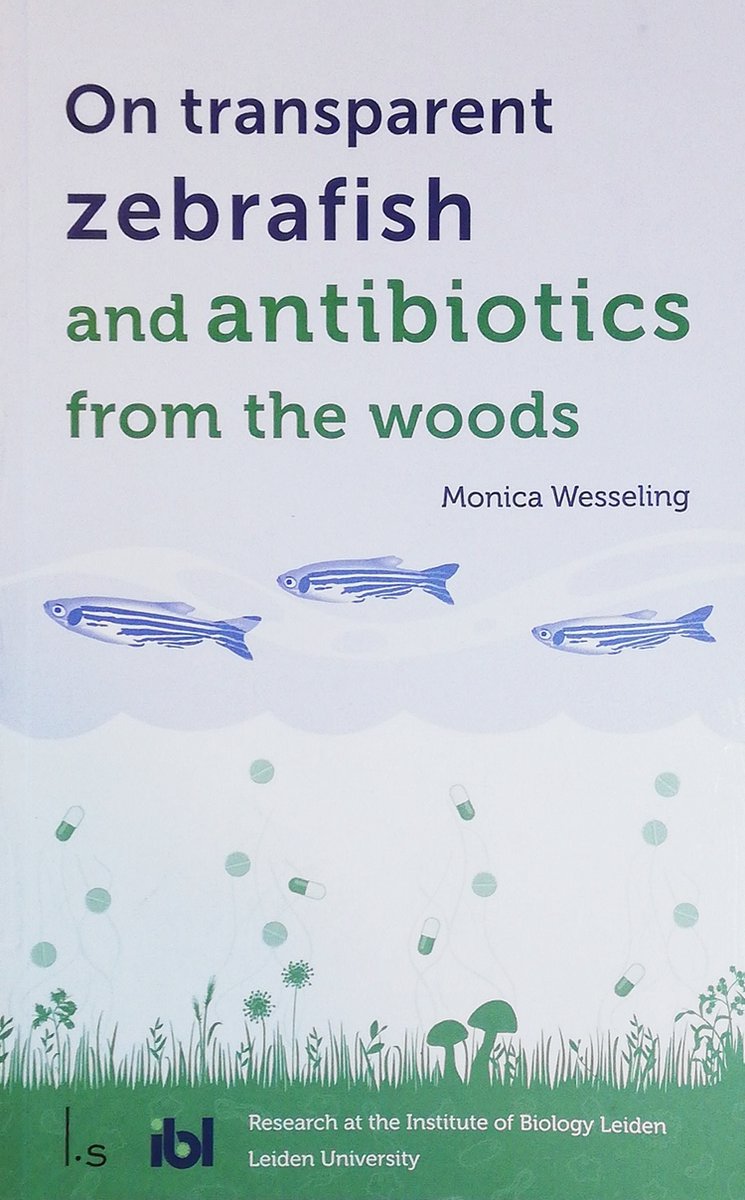 On transparent zebra fish and antibiotics from the forest