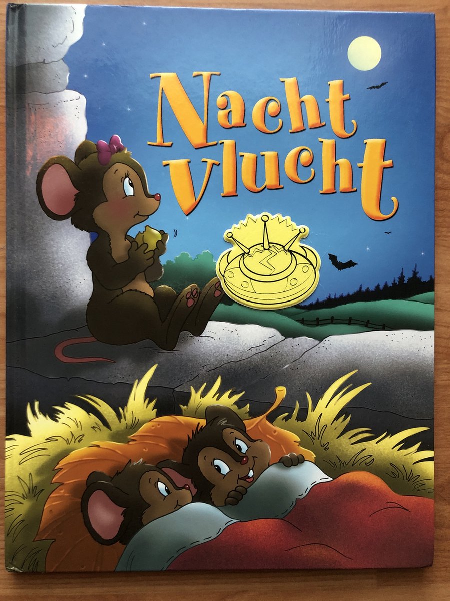 Nachtvlucht