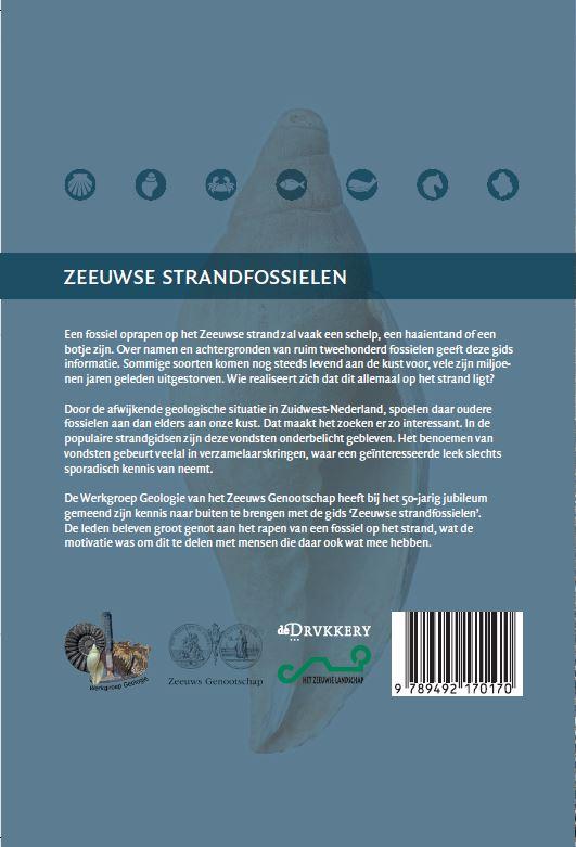 Zeeuwse strandfossielen achterkant