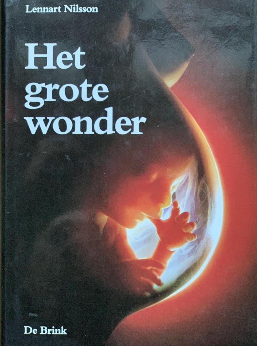 Het grote wonder