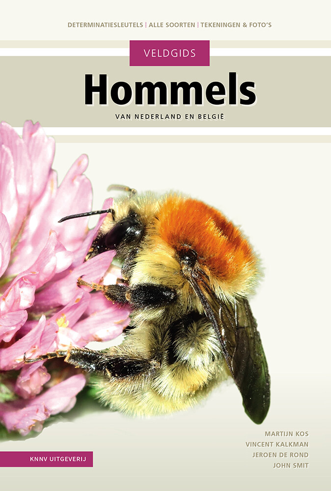 Veldgids Hommels / Veldgids