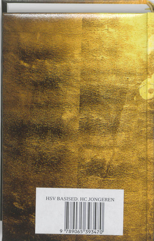 Bijbel HSV jongeren (speciale cover) achterkant