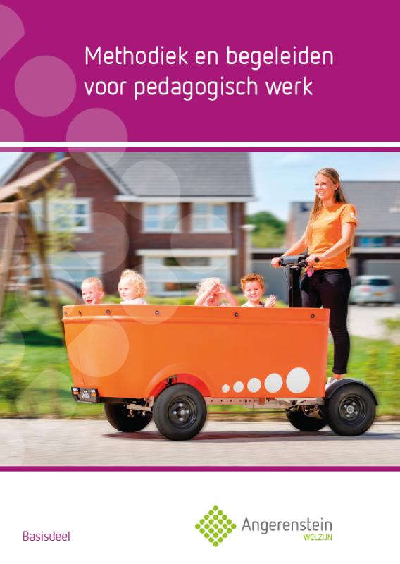 W. den Brok Methodiek En Begeleiden Voor Pedagogisch Werk