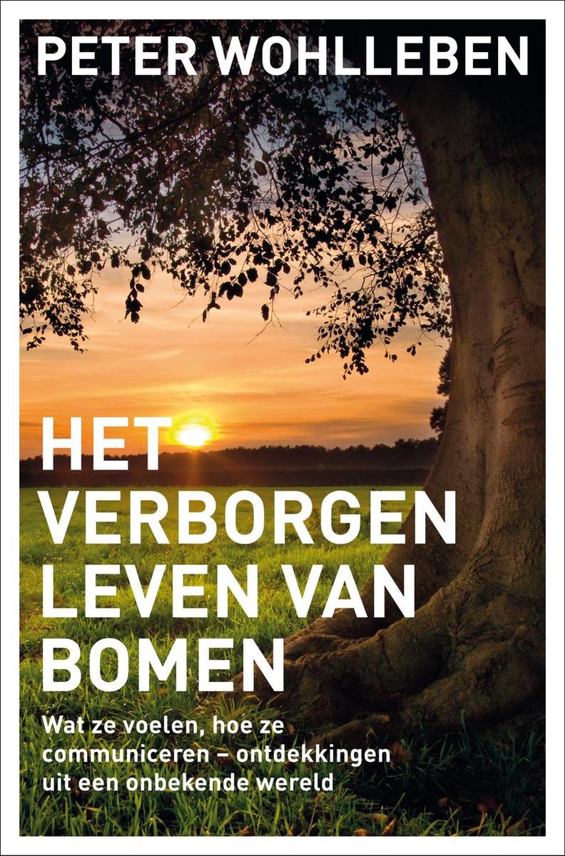 boekenbalie_9789400507326_cover Het verborgen leven van bomen